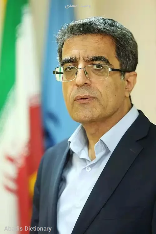 وحید احمدی